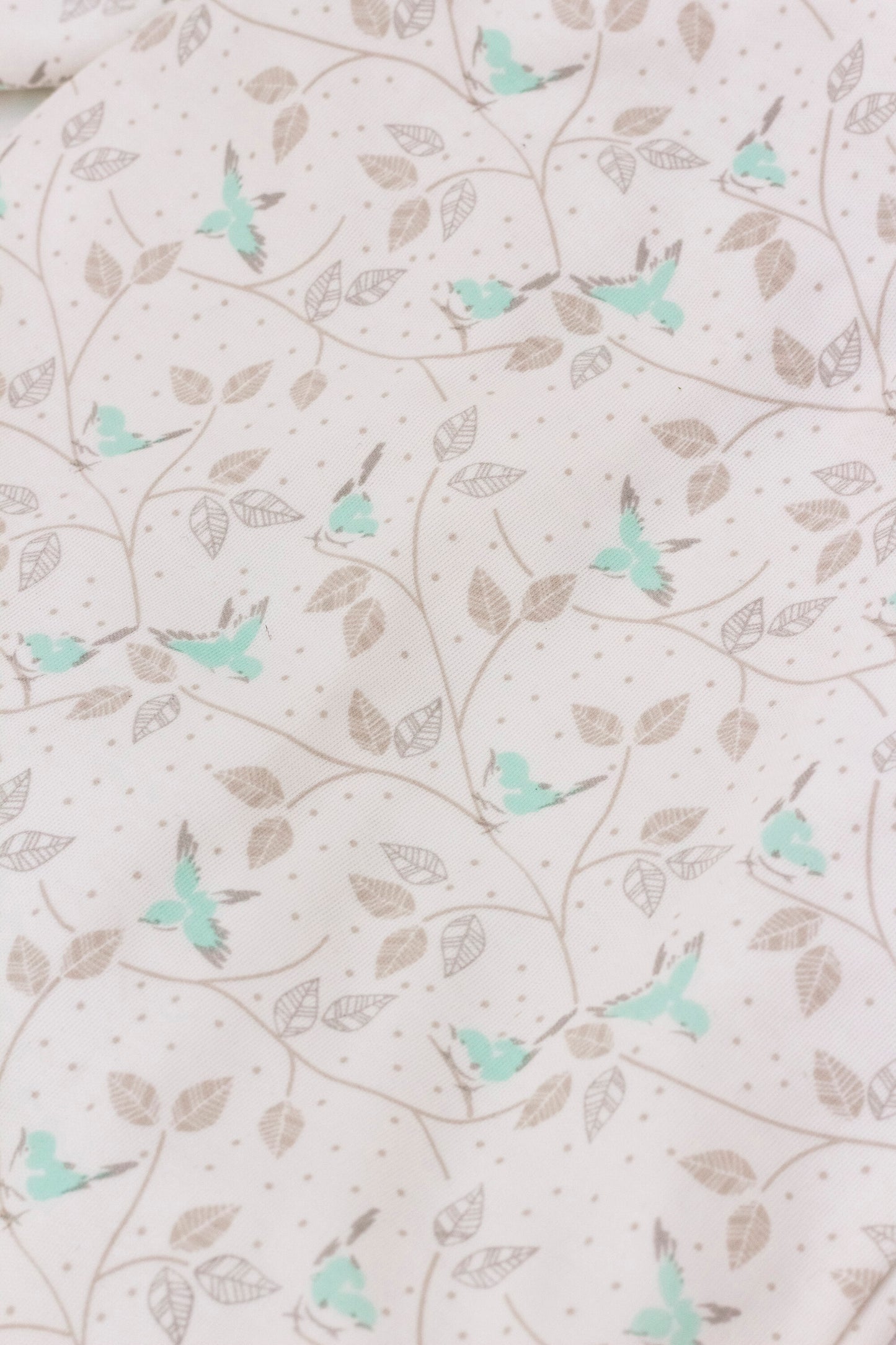 Organic one-piece footless pajamas birds