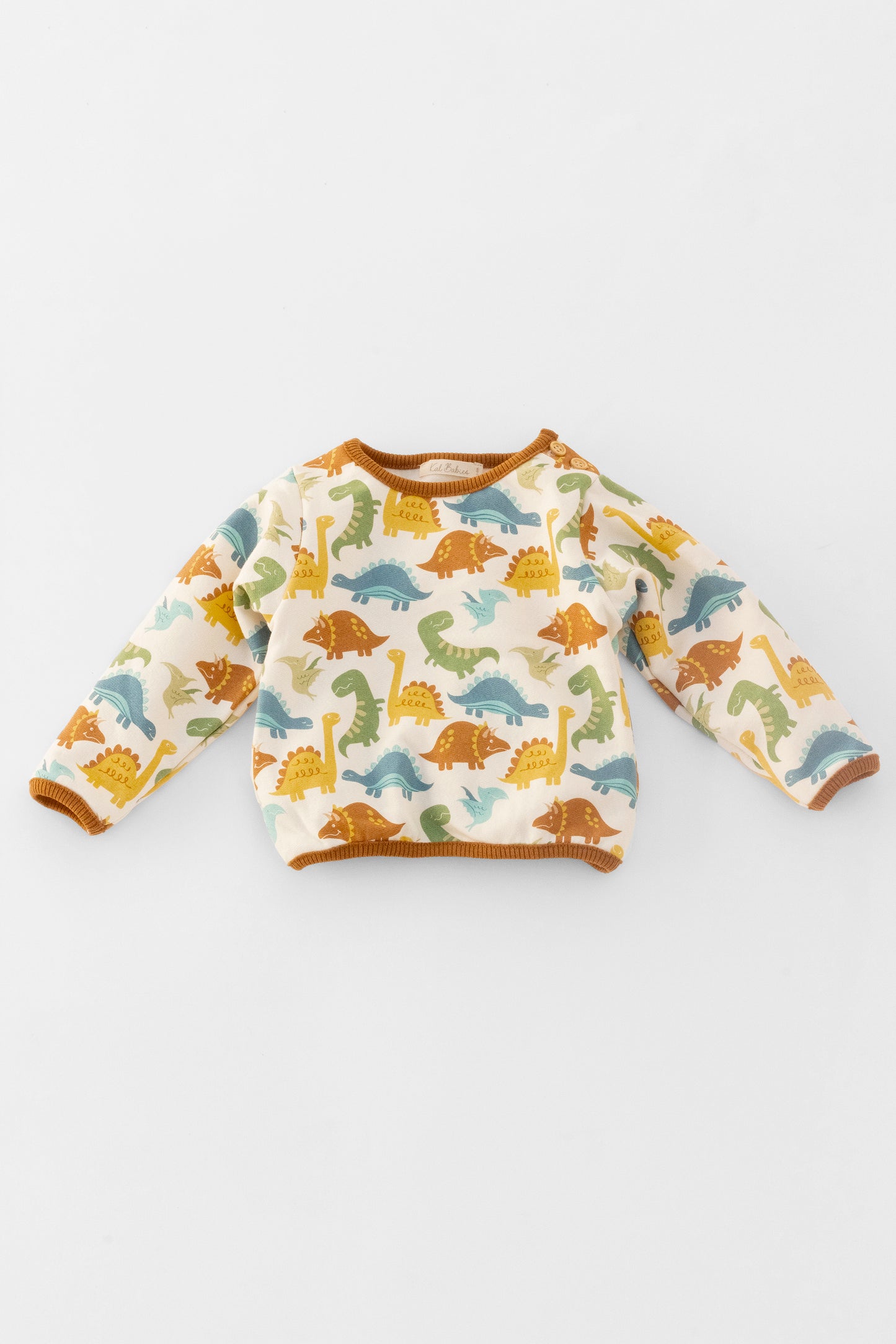 Organic sweatshirt dinosaurs