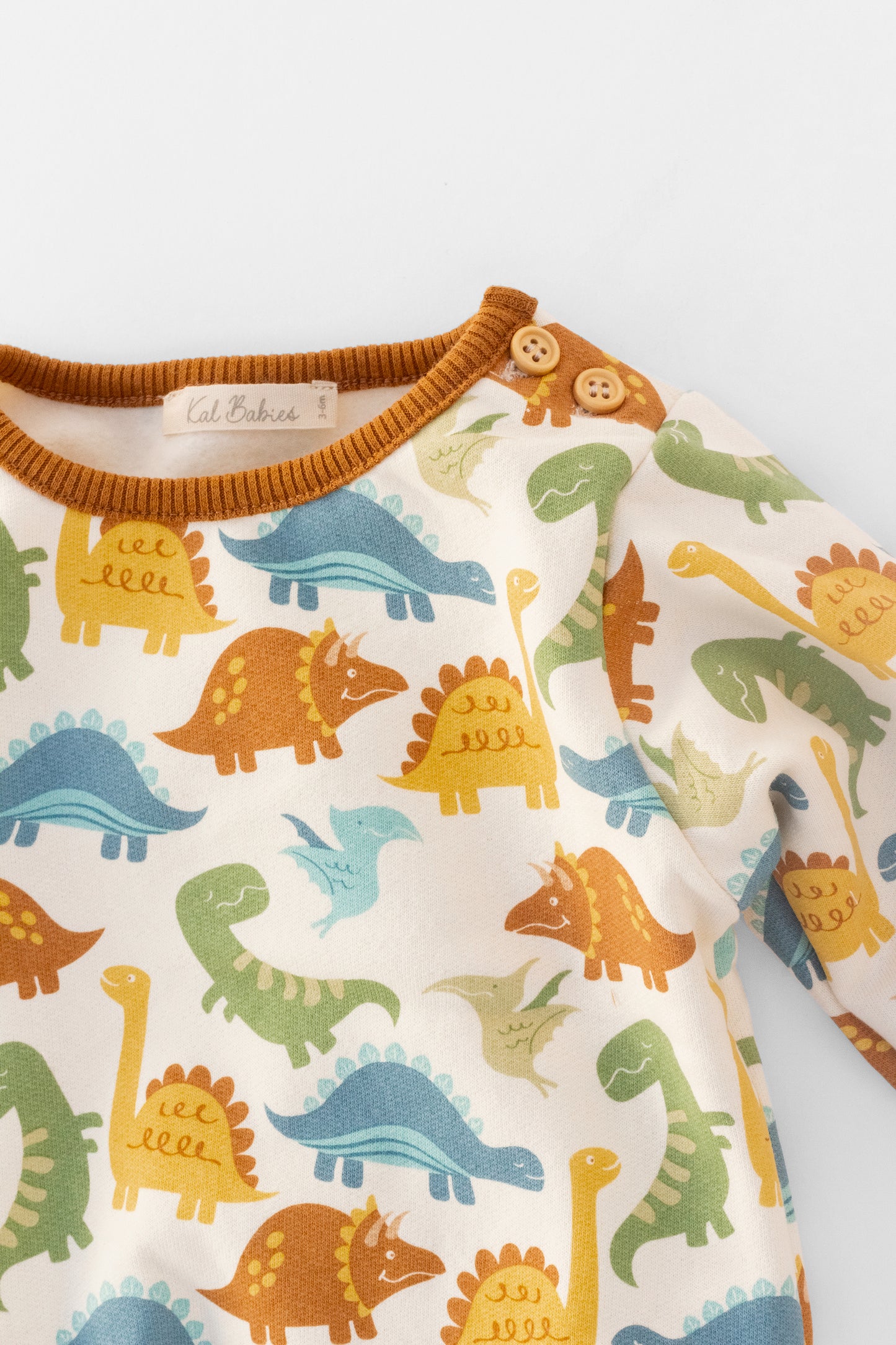 Organic sweatshirt dinosaurs