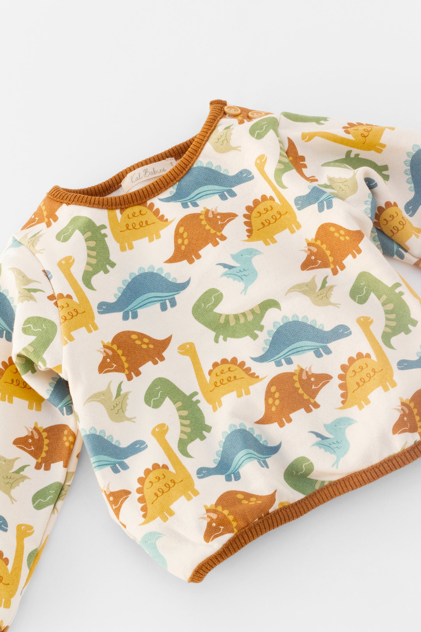 Organic sweatshirt dinosaurs