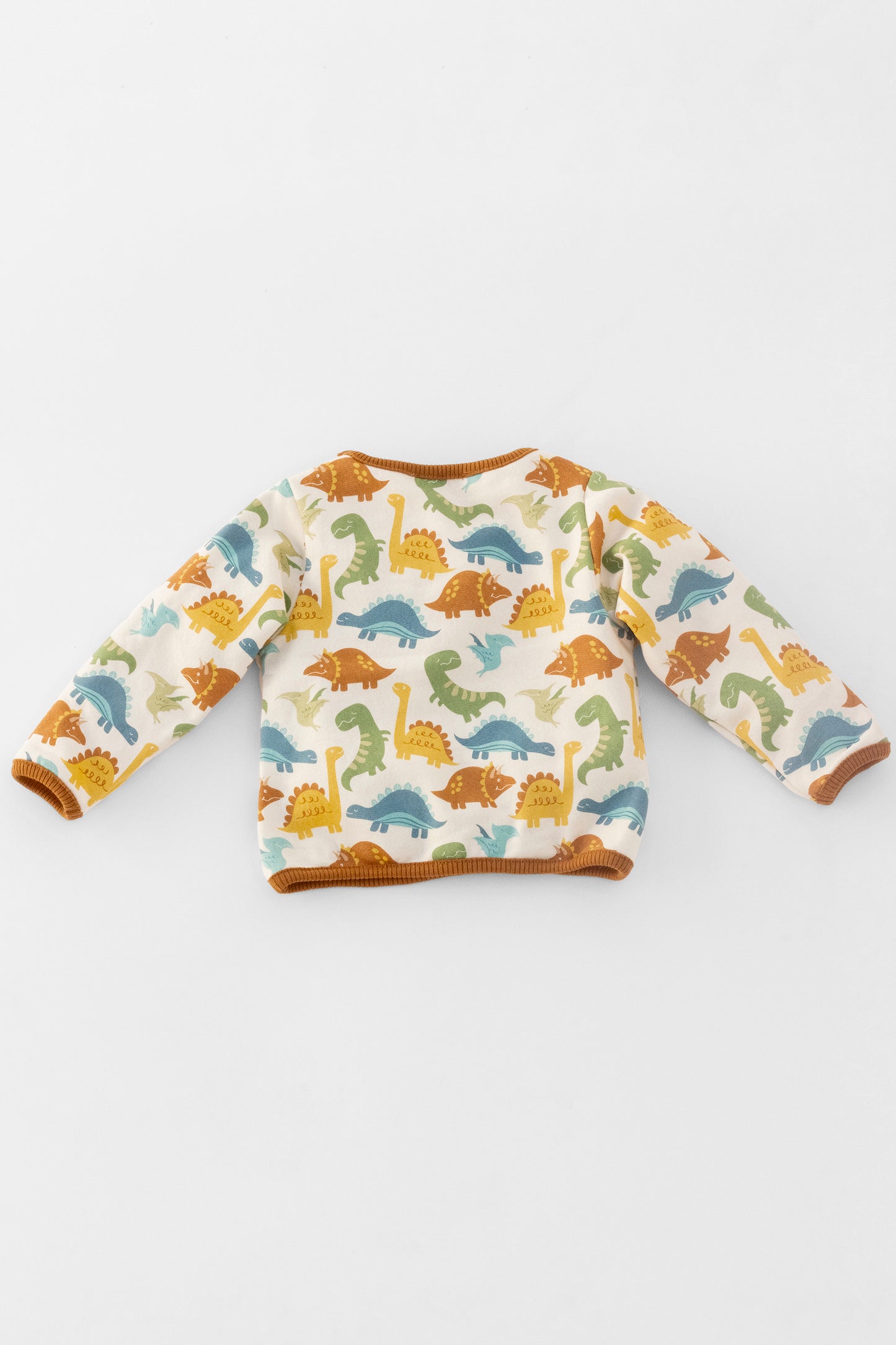 Organic sweatshirt dinosaurs