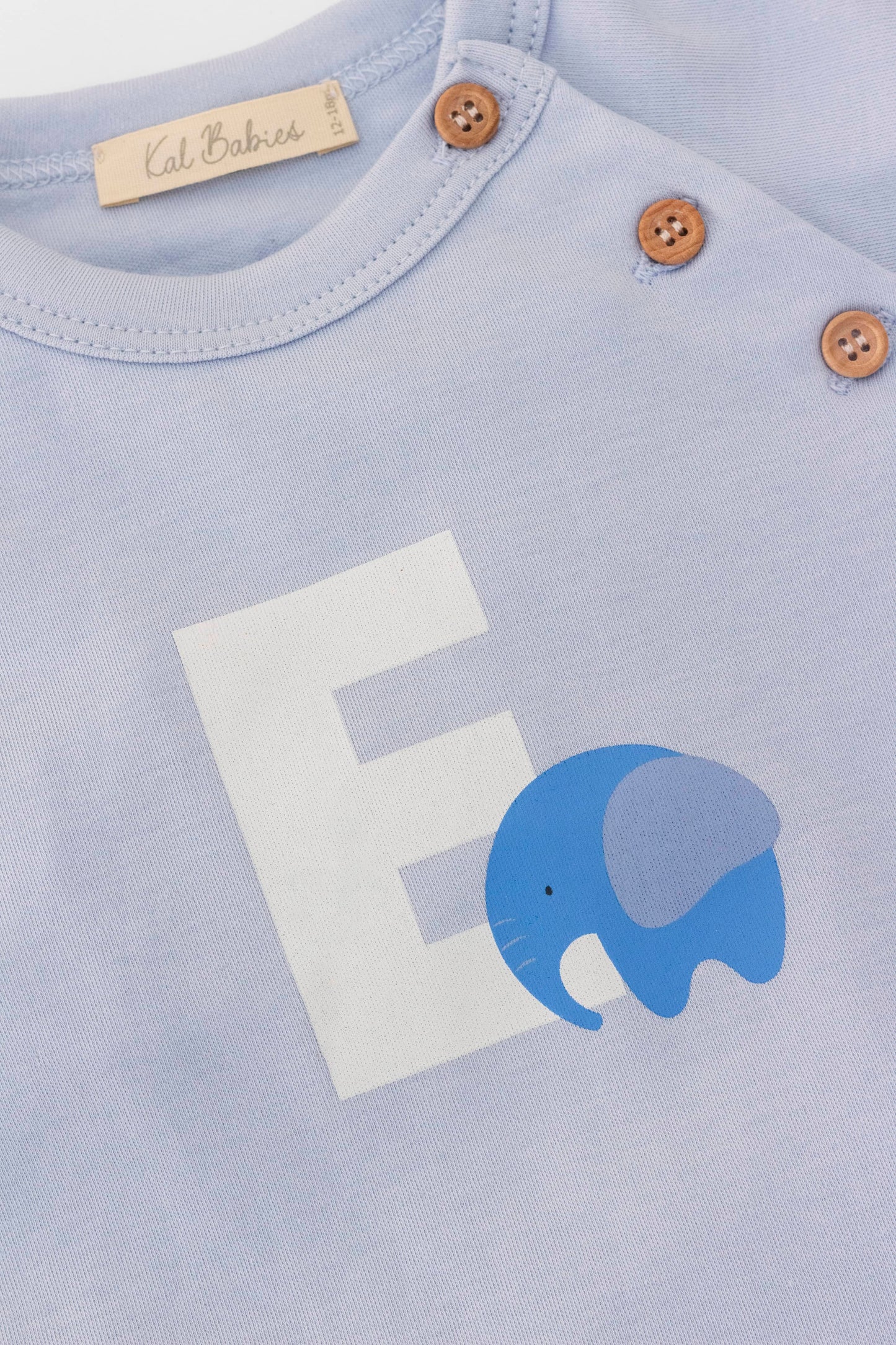 Organic raglan sleeve crewneck top blue elephant print