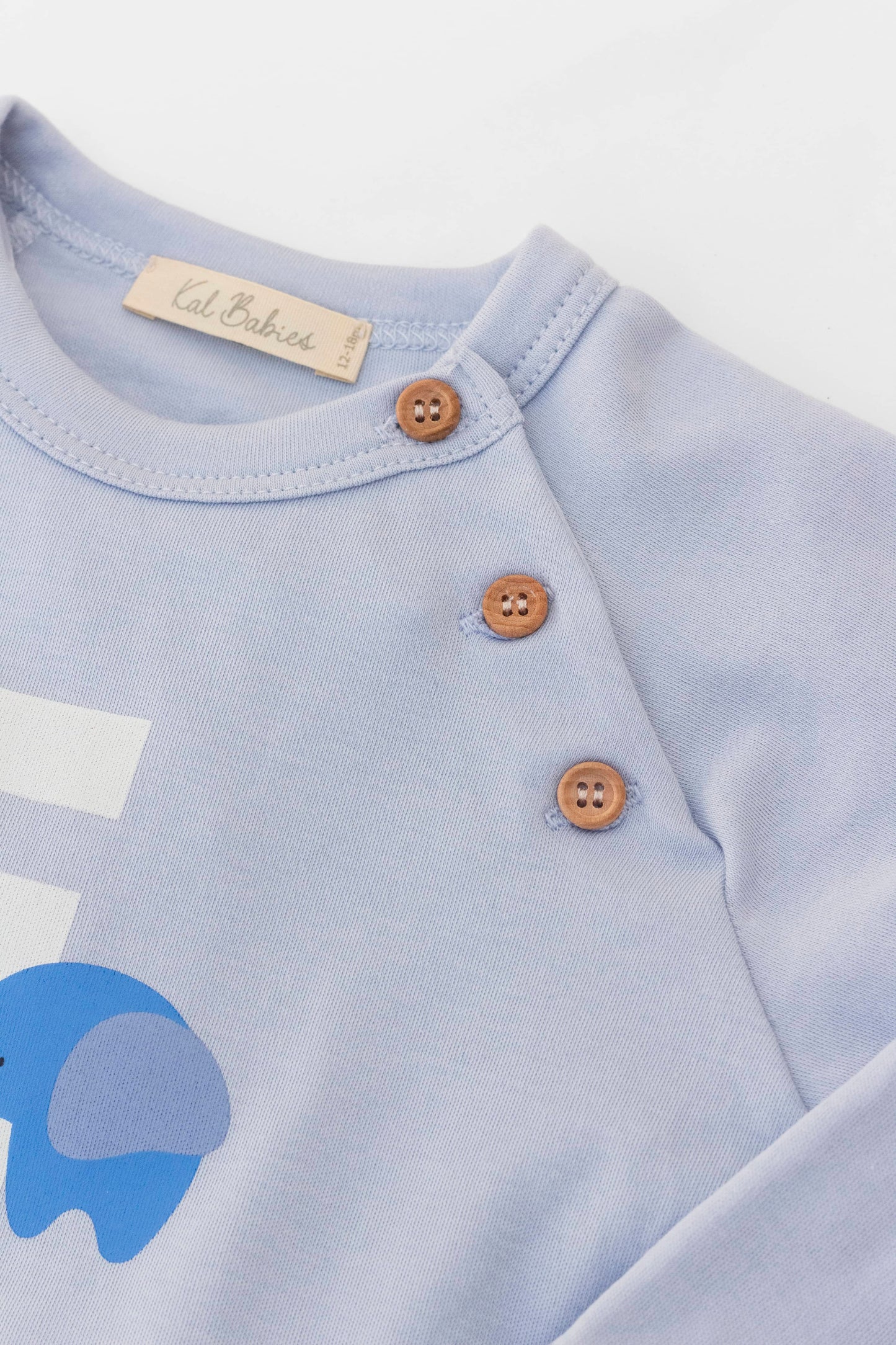 Organic raglan sleeve crewneck top blue elephant print