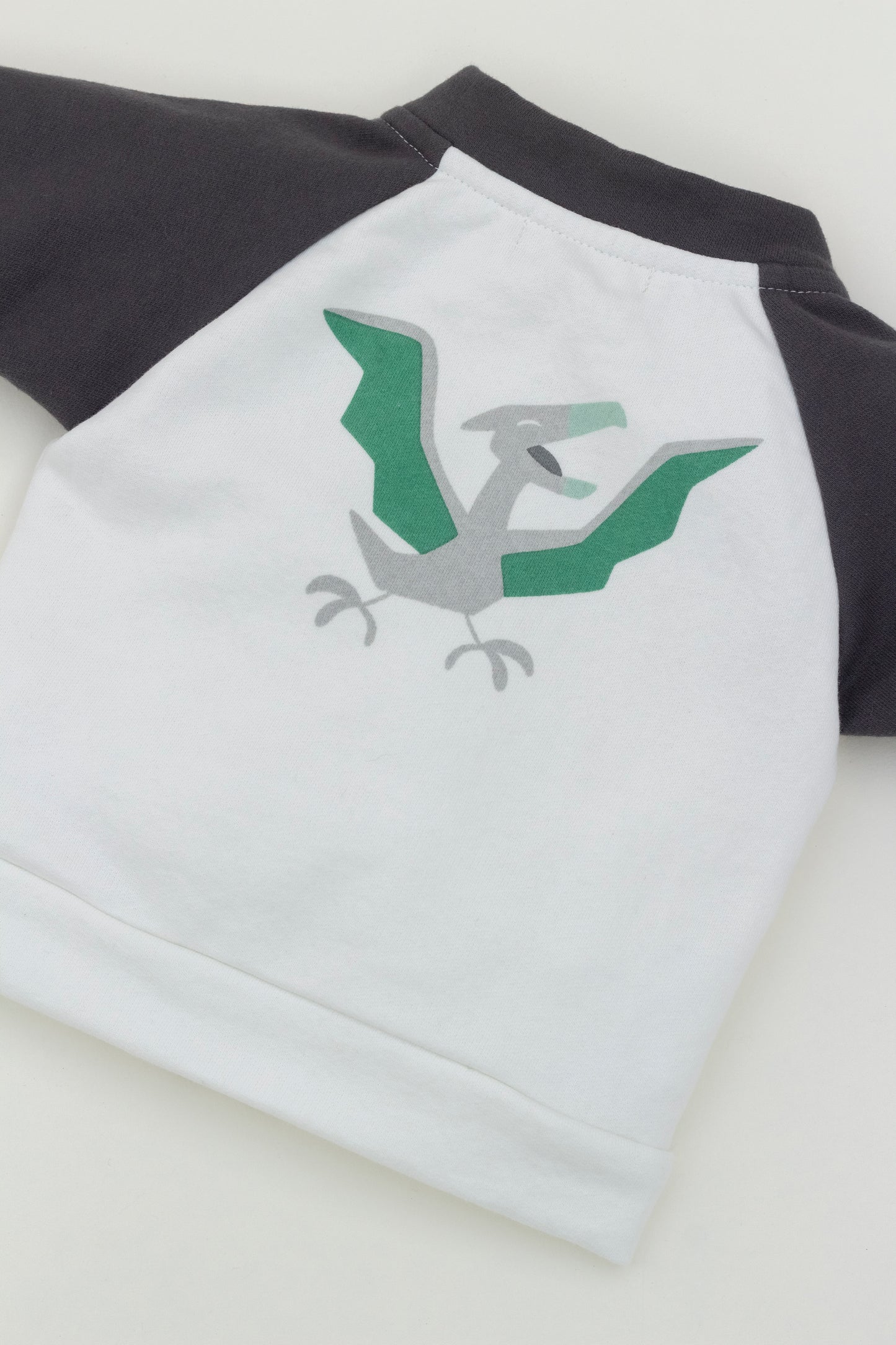 Dino Bomber jacket