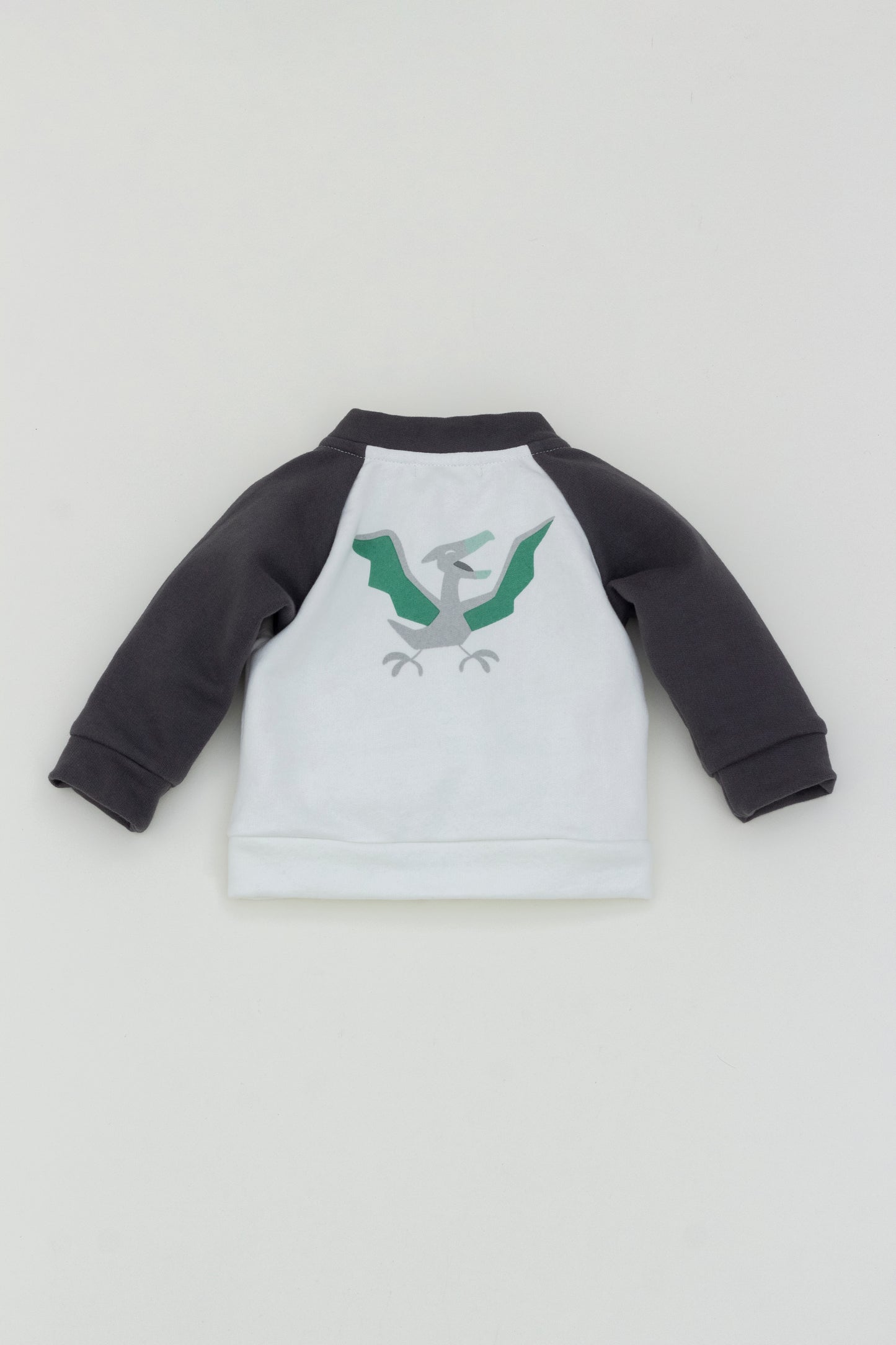 Dino Bomber jacket