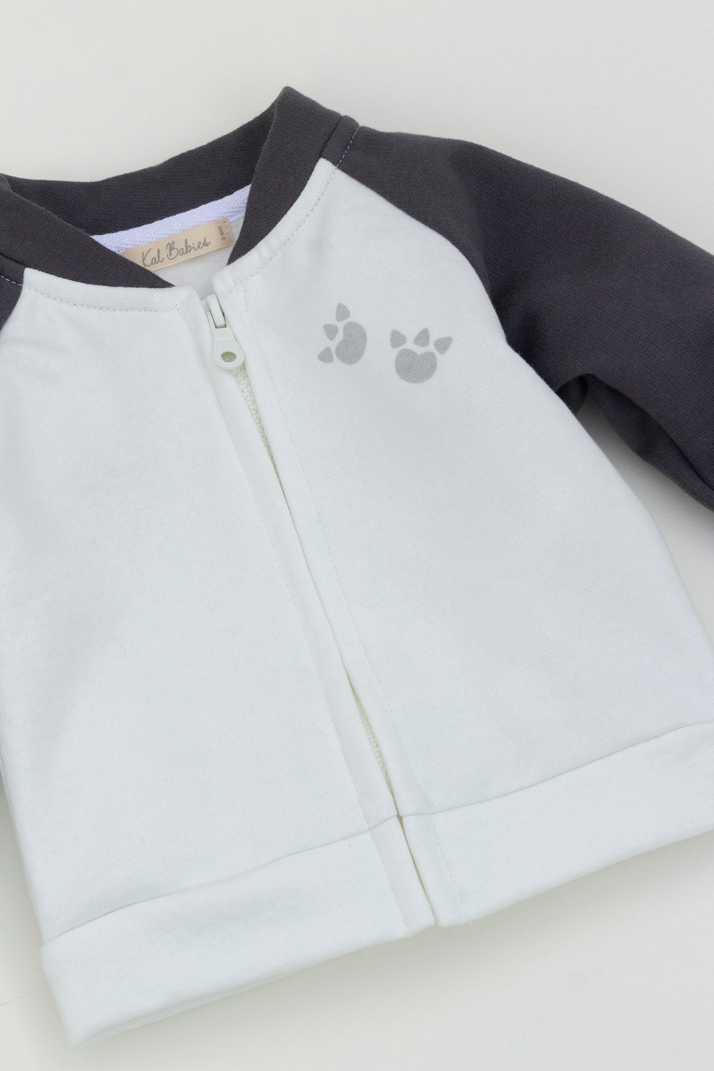Dino Bomber jacket